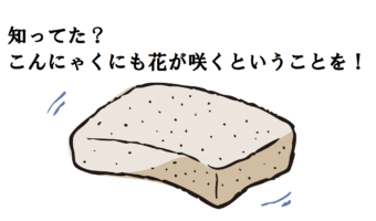 「こんにゃくの花」の姿が意外すぎる!だけどその花は容易に見られるものではない?!