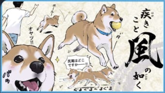 風林火山、これぞ柴犬の如し(笑) “柴犬あるある”を表現したイラストに多くの共感の声