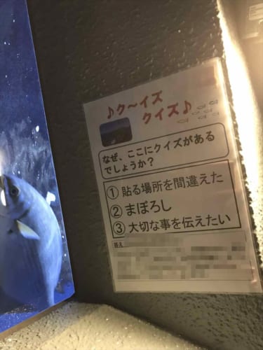 水族館の目立たない貼り紙だけど･･･書かれていたことが深いと話題に！「人間世界でも言えること」