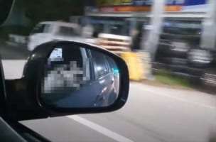 夜のドライブは最高！気持ちよさそうに外を眺めている“とある動物”の顔が可愛すぎる(笑)