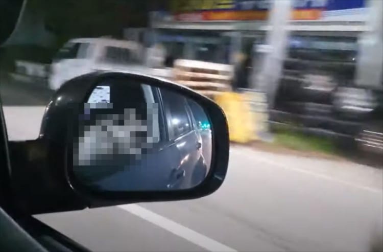 夜のドライブは最高！気持ちよさそうに外を眺めている“とある動物”の顔が可愛すぎる(笑)