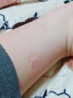 こんなにくっきり跡がつくことある？(笑) 可愛らしい“肉球スタンプ”の跡が話題に！
