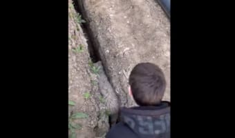 溝にハマって動けない子羊を救出するも、直後に誰も予想していなかった展開になって爆笑!