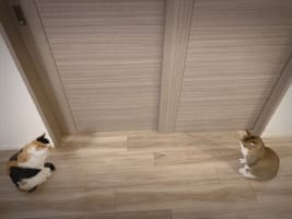 この立ち位置はもしかして･･･(笑) この光景を巧みに表現したツイートが面白いと話題に！