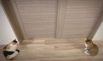 この立ち位置はもしかして･･･(笑) この光景を巧みに表現したツイートが面白いと話題に！