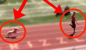 陸上リレーで優勝したのは・・・誰も予想できない展開にびっくり!