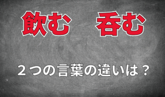 【のむ】「飲む」と「呑む」の違いは?お酒は飲む?それとも呑むなの?