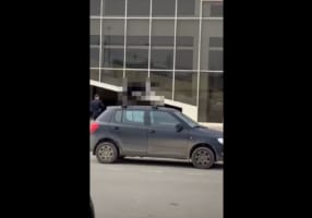 ドライブに行く気満々か！？(笑) とある動物が車の屋根の上にスタンバイしていて爆笑