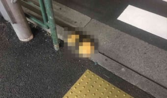 まるで“アレ”にしか見えない縁石が話題に！「海苔の質感が絶妙(笑)」「飯テロだ！」