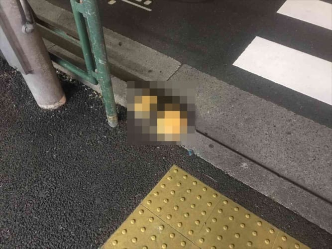 まるで“アレ”にしか見えない縁石が話題に！「海苔の質感が絶妙(笑)」「飯テロだ！」