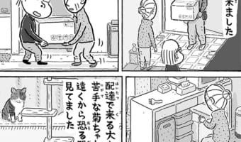 心強いお供!老夫婦と暮らすニャンコの日常漫画がホッコリする♪