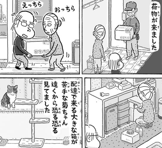 心強いお供！老夫婦と暮らすニャンコの日常漫画がホッコリする♪