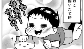 寝てる時に猫の気配を感じたら・・・、猫がかわいさに飽きられないようこんなことをしている・・・のかもしれない