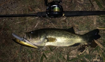 釣りをやってみたいけど何から始めれば？初心者必見！おすすめの釣りの始め方