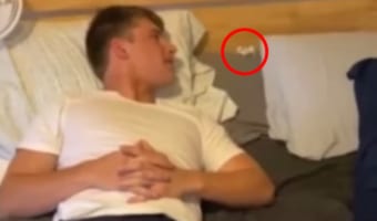 名前を呼ばれて姿を現した賢いハムスター、パパの「○○」という言葉を聞いてスタコラサッサと姿を消す！