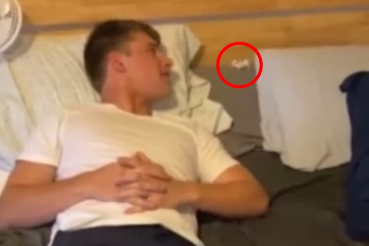 名前を呼ばれて姿を現した賢いハムスター、パパの「○○」という言葉を聞いてスタコラサッサと姿を消す！