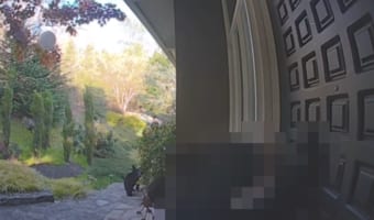 【予期せぬ訪問客】開ける前にカメラを確認して良かった！玄関のドアをノックするのはまさかの･･･