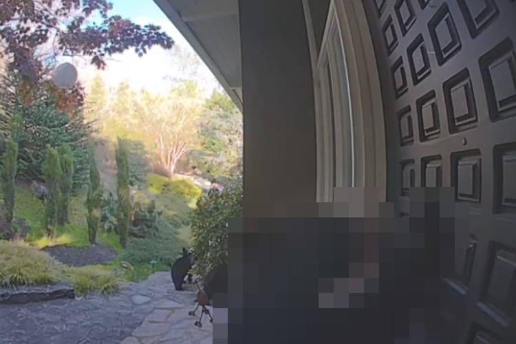 【予期せぬ訪問客】開ける前にカメラを確認して良かった！玄関のドアをノックするのはまさかの･･･