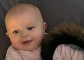 この年にして知ってしまいましたね・・・。ご覧ください、ワンコのしっぽのもふもふと肉球を堪能する赤ちゃんのご満悦なこの表情