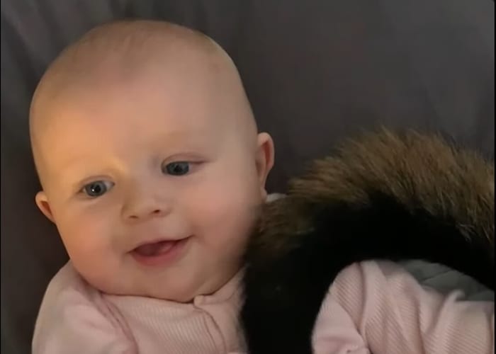 この年にして知ってしまいましたね・・・。ご覧ください、ワンコのしっぽのもふもふと肉球を堪能する赤ちゃんのご満悦なこの表情