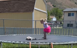 トランポリンで遊ぶ少女VS気にはなるけど絶対起きたくないパグ・・・その結末は如何に！！