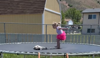 トランポリンで遊ぶ少女VS気にはなるけど絶対起きたくないパグ・・・その結末は如何に！！