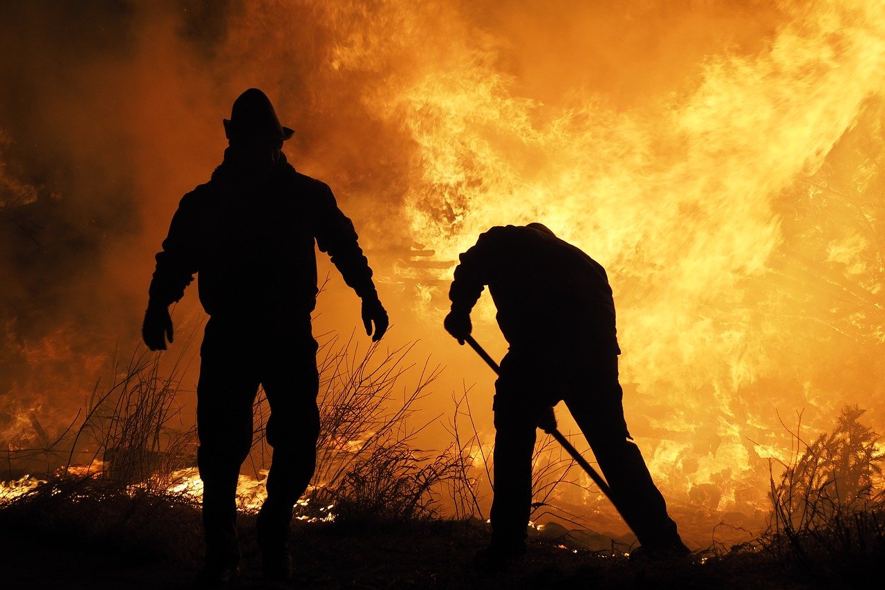 火事でビルに取り残された？！絶対絶命に晒されたニャンコがとった驚愕の行動とは！？