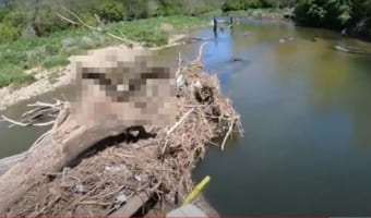 釣りをしていた男性、ポジショニングを変えようとしたら、まさかの存在に怒られる