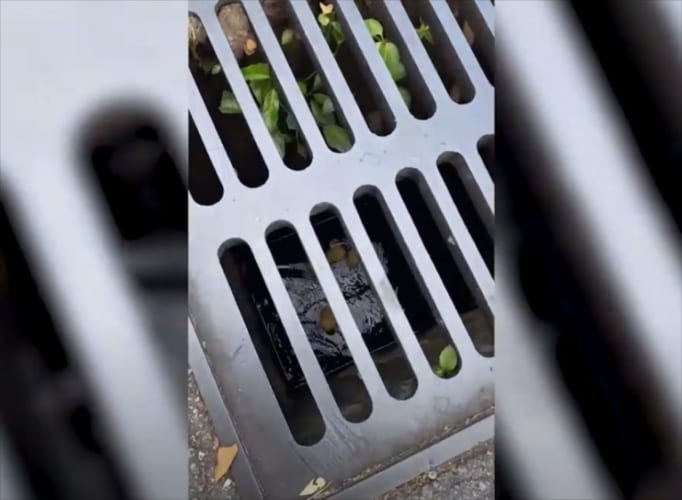 【優しさの連鎖】閉じ込めらたアヒルの子たち。救出が困難な状況に救助隊が駆けつけ･･･