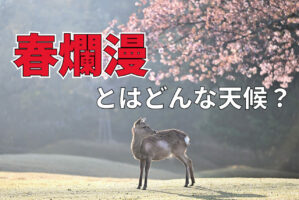 「春爛漫」とはどんな気候？爛漫とはどういう意味のことば？