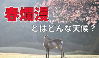 「春爛漫」とはどんな気候？爛漫とはどういう意味のことば？