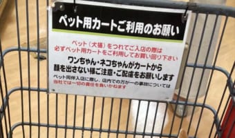 まるで自宅にいるかのようにくつろぎすぎ(笑)  カートの中でリラックスするワンコが話題に!
