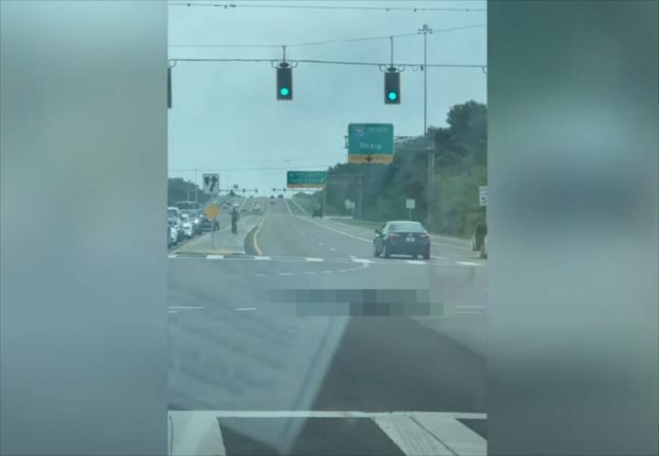 おいおいマジかよっ？！交差点を『巨大な生物』が横切るトンデモナイ光景が！！