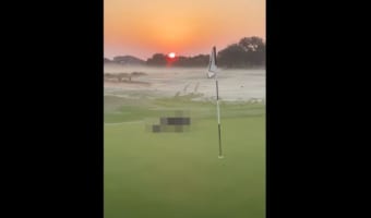日の出が美しいゴルフ場に現われた“あの動物”。意外にも癒される？エモーショナルな光景は必見！