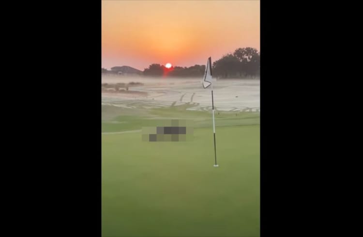 日の出が美しいゴルフ場に現われた“あの動物”。意外にも癒される？エモーショナルな光景は必見！