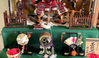 「乗っちゃいけない場所」にいることを、はっきりと自覚しているニャンコの顔が面白い(笑)