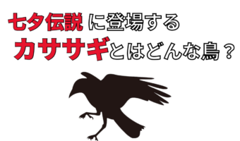 七夕で織姫と彦星を会わせるとされる「カササギ」とはどんな鳥?「カササギの橋」とはいったいなに?