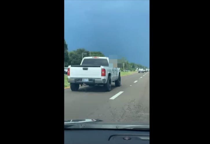 二度見確実！目の前を走るトラックの助手席から顔を出していたのは、まさかの･･･(笑)