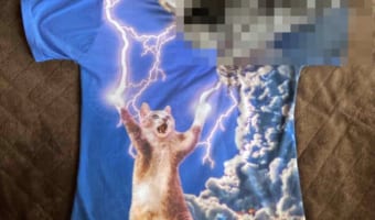 【奇跡の構図】Tシャツの写真を撮ろうとしたら猫が乱入!するとなぜか「終末戦争」みたいに?!