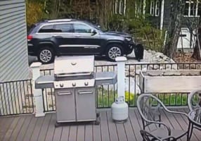 【衝撃の映像】この車のオーナーですか？クマたちの行動がまるでドライブに行こうとする人間のよう