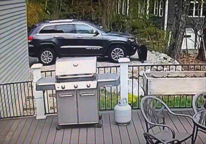【衝撃の映像】この車のオーナーですか？クマたちの行動がまるでドライブに行こうとする人間のよう