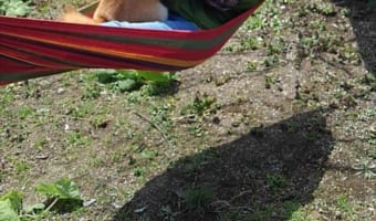 楽しいワン!ハンモックでばぁばと戯れる柴犬。その瞬間をとらえた1枚の写真にほっこり