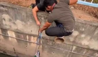 【心温まる行動に感動】水路で迷子になっていた子猫を手作りの滑車で救出!