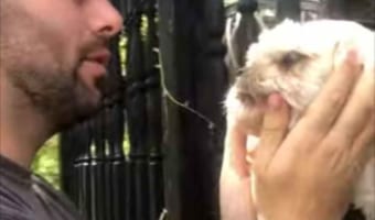 【一体何が起きた？！】ワンコをかわいがる微笑ましい光景と思いきや・・・ワンコはピンチに陥っていた！