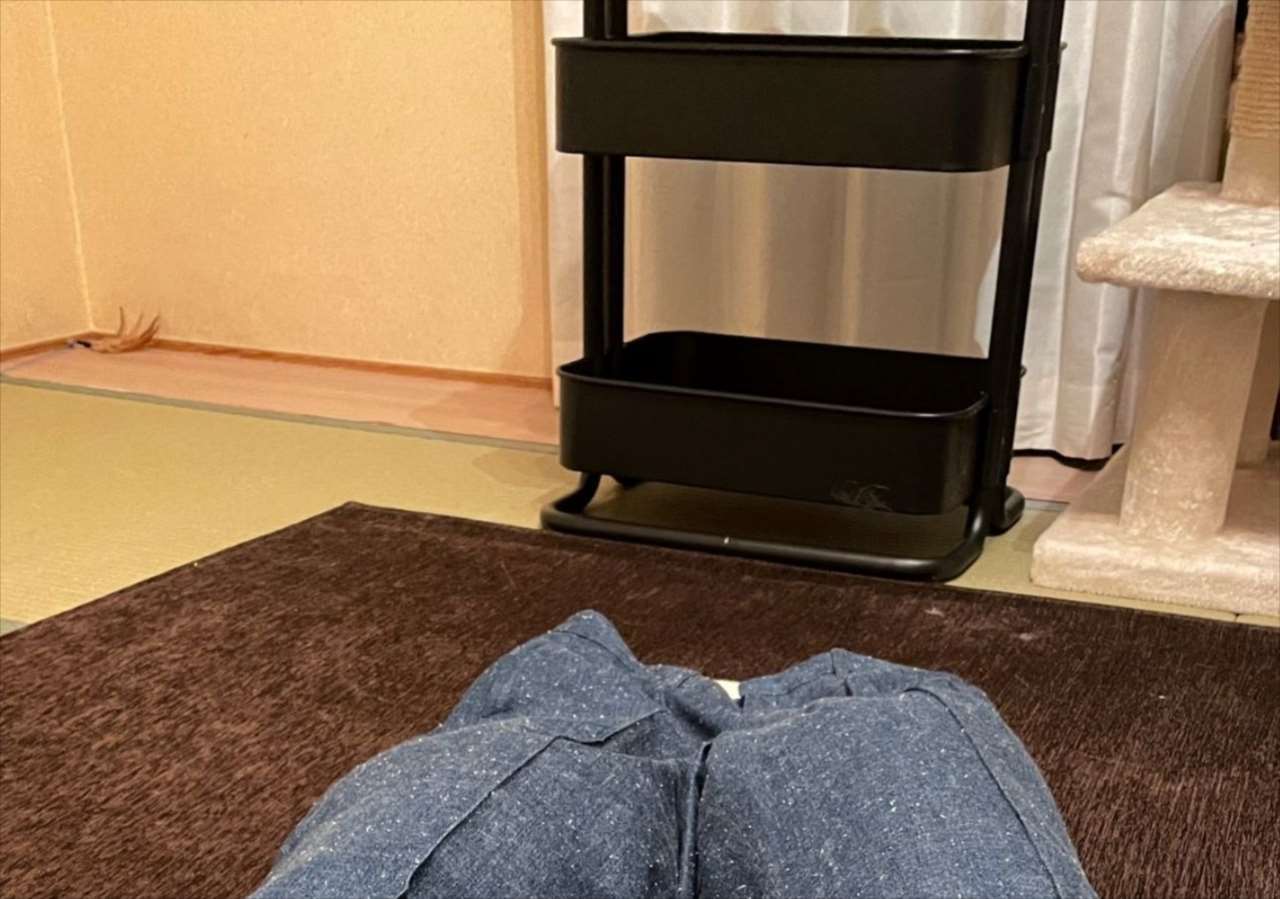 「履き心地が最高だにゃ」ニャンコたちがどこにもいない・・・心配していたら想定外の場所にいた(笑)