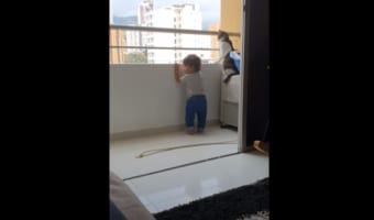 【天才猫】子どもが手すりに手をかける度に制止する、頼もしいニャンコが凄い！