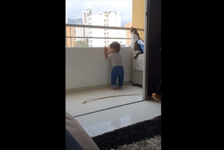 【天才猫】子どもが手すりに手をかける度に制止する、頼もしいニャンコが凄い！