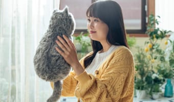 天才か?!猫を飼うのをあきらめていた人たち向けの『猫型クッション』がクラウドファンディングで大反響!
