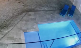 招かれざる客がやってきた!!ナイトプールを堪能するその存在とは・・・