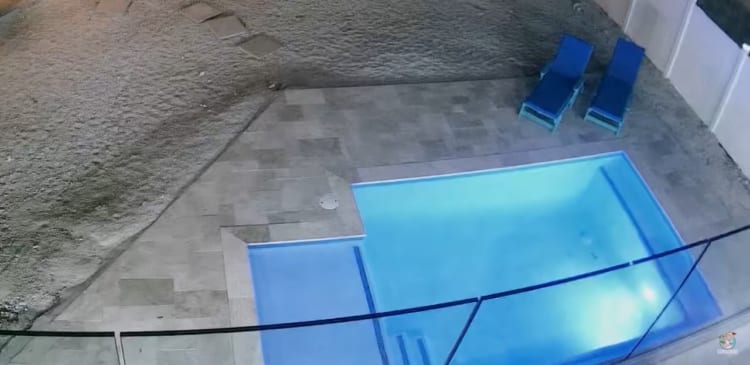 招かれざる客がやってきた！！ナイトプールを堪能するその存在とは・・・